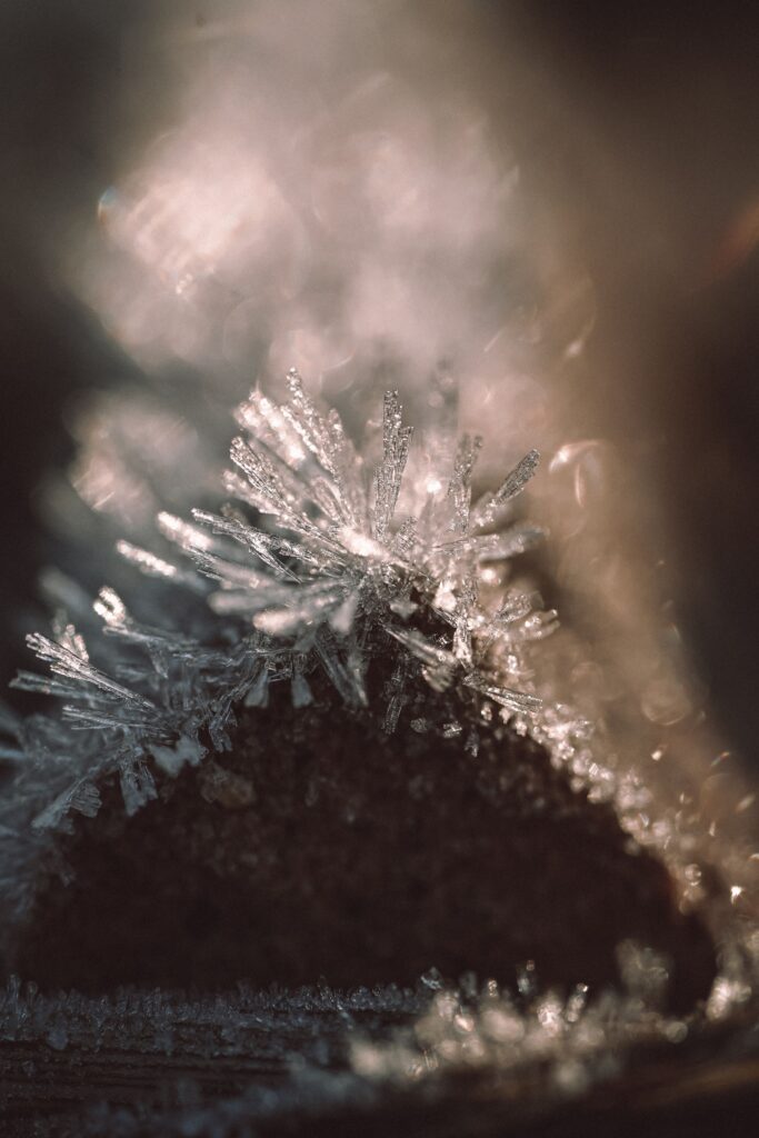 Macro photograph of ice crystals against a dark background